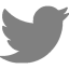 twitter-logo